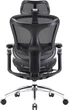 Крісло офісне Sihoo Doro C300 Pro Mesh Black (DORO-C300-PRO-M101) ( 17800 ) - изображение 1