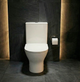 Унітаз-компакт Ravak Concept Pro Combi RimOff з сидінням Soft Close RKUM100008 - зображення 3