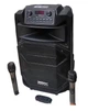 Динамик 15″ Мощный акустический комплект Temeisheng SL 15-31T 240Вт с 2 микрофонами (45718-_10798) - изображение 2