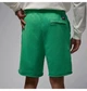 Шорти чоловічі Jordan Rare Air Green M Зелений IF1411-324 - зображення 3
