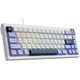 Клавиатура Ajazz AK650 Sea Salt Switch USB UA / (m521616) - изображение 2