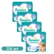 Дитячі підгузки 256 шт Pampers Active Baby розмір 5 (11-16 кг) Дитячі підгузники памперс з індикатором вологи та манжетами з подвійною щільністю Памперси преміум для дітей для нічного сну - зображення 1