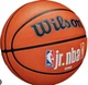 М'яч баскетбольний Wilson JR NBA FAM LOGO AUTH OUTDOOR BSKT розмір 7 - изображение 2