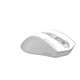 Миша бездротова A4Tech Fstyler FG55S Plus White - зображення 3