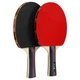 Набор для настольного тенниса Fox Table Tennis 218A 2 ракетки + 3 мяча - изображение 4