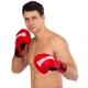 Перчатки для бокса боксерские перчатки Hard Touch Elite 5229 14 унций Red - изображение 8