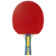 Ракетка для настольного тенниса Joola Team Master (52001) (930771) Joola 930771 1040437 - изображение 1