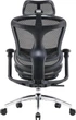 Крісло офісне Sihoo Doro C300L Mesh Black (DORO-C300L-A3-101) ( 16900 ) - зображення 2