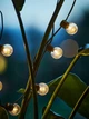 LED-гірлянда GULIRISK Довжина 380см 20LED - зображення 2