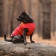 Жилет Pet Fashion E.Vest для собак красный XS-2 4823082424443 - изображение 5