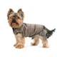 Жилет Pet Fashion Hardy для собак утеплений водонепроникний з отвором для повідця бежевий розмір S 4823082437528 - зображення 3