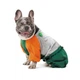 Дощовик Marlie ХS такса для собак 4823082439478 - зображення 4