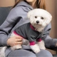 Толстовка Pet Fashion BIM для собак сіро-рожева М 4823082430314 - зображення 4