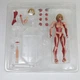 Аниме фигурка Атака титанов Attack on Titan Annie Leonhart, титан Энни Леонхарт, подвижный, 15 см (AT 0034) - изображение 10