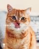 Сухой корм для кошек Hill's Prescription Diet k/d с ActivBiome+ Kidney Defense для кошек поддержание функции почек с лососем 1.5 кг (052742088266) - изображение 3