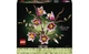 Конструктор Lego Botanicals Гілки магнолії, 435 деталей 11510 - зображення 1