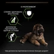 Сухий корм Purina Pro Plan Veterinary Diets Large Robust Puppy Sensitive Skin Сухий корм з лососем для цуценят великих порід масивної статури, з чутливою шкірою 12 кг (8445290502254) - зображення 7
