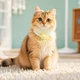 Трекер на ошейник HOCO E91D Tiger smart anti-lost device cat collar type Beige (6942007666107) - изображение 4