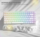 Набір ABS / PC кейкапів Jelly 113 шт White білий колір, гравіювання зверху, глянцеві кейкапи для механічної клавіатури OEM profile - зображення 7