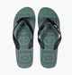 Тапочки Arena Flip Flop Olive 002309-116 46 - изображение 1