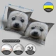 Подушка с фотопринтом детеныша тюленя 3D ПРИНТ 45 х 45 см 1338145UA - изображение 3