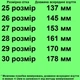 Сапоги резиновые 388 Бежевые, ЭВА. Размер 29 - изображение 2
