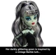 Кукла Монстер Хай Фрэнки Штейн Барби Коллекционная Monster High Barbie Frankie Stein Mattel - изображение 5