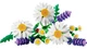 Конструктор LEGO Botanicals Ромашки 133 детали (11508) - изображение 4