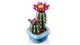 Конструктор LEGO Botanicals Цветение кактуса 482 детали (11509) - изображение 5