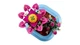 Конструктор LEGO Botanicals Цветение кактуса 482 детали (11509) - изображение 6