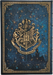 Записная книжка Paperblanks Гарри Поттер – Легенды Хогвартса 12х18 см 144 страницы в линейку (9781408765210) - изображение 4