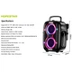 Портативная Bluetooth колонка 650 Вт 341х295х558 мм караоке Hopestar PARTYONE CLUB Black - изображение 2