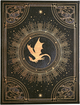 Записная книжка Paperblanks Четвертое крыло – Тени Наварры 18х23 см 144 страницы нелинованная (9781439799871) - изображение 5