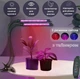 Фітолампа для рослин LED USB 10 Вт з таймером 3/9/12 рік, лампа для розсади 2 гілки на кліпсі, підсвітка для кімнатних рослин та теплиць - зображення 4