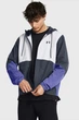 Чоловіча вітровка UA Legacy Windbreaker Under Armour LG 1382875-044 - изображение 1