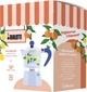 Кавоварка гейзерна Bialetti Fruit Vibes Rainbow блакитна 150 мл (8006363100748) - зображення 2