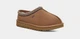 Жіночі уггі UGG Tasman Slipper Chestnut 38 - зображення 2