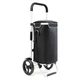 Cумка-візок ShoppingCruiser Allround Black (650064) - зображення 1