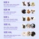 Панама для собак Hat-Dog M - червоний - изображение 8