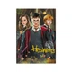 Пазл классический "Harry Potter. Гарри и друзья" 200498 250 элементов - изображение 4