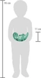 Gra równowagi Small Foot Dino (4020972126207) - obraz 6