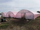Теплица Экстра 10 х 8 х 3.35 м Под 1 Слой Пленки - изображение 6