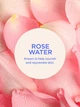 Подарунковий набір Victoria's Secret Wild Rose Amber Hydrating Body Lotion + Body Scrub (911/826) - изображение 2