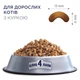 Сухий корм для котів Club 4 Paws Premium 14 кг - курка - изображение 1