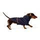 Дощовик для собак Noble Pet Moss XL-Long - зображення 1