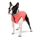 Collar AiryVest куртка для собак S-40 - изображение 2