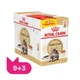 Упаковка вологого корму для котів Royal Canin Maine Coon Adult Gravy 9+3 шт х 85 г - изображение 1