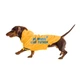 Дощовик для собак Noble Pet Moss Bravery M - зображення 4