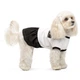 Pet Fashion Chanti сукня для собак XS-2 - изображение 1