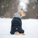 Collar AiryVest ONE комбінезон для собак XS-30 - изображение 8